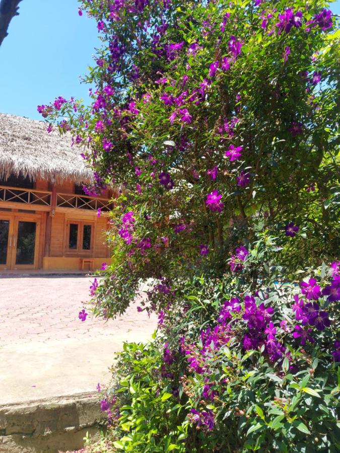Flower Hmong Homestay 박하 외부 사진