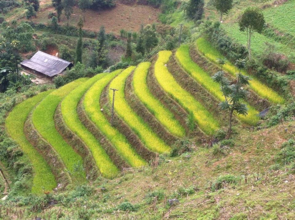 Flower Hmong Homestay 박하 외부 사진