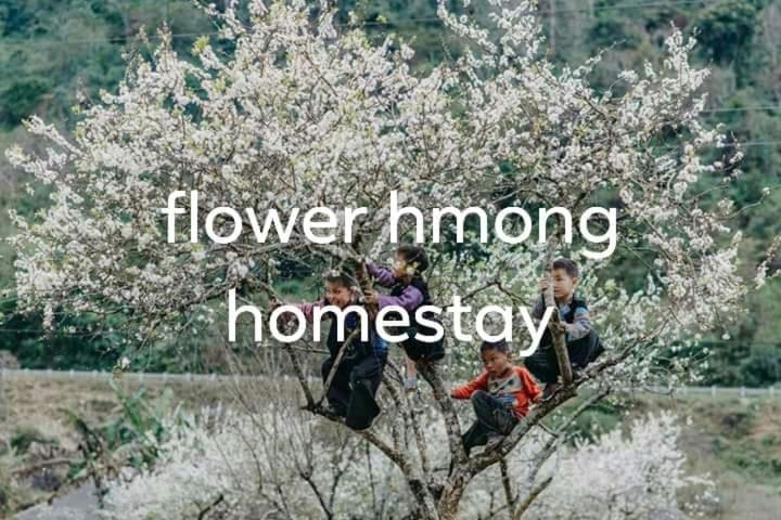 Flower Hmong Homestay 박하 외부 사진