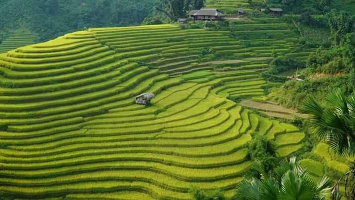 Flower Hmong Homestay 박하 외부 사진